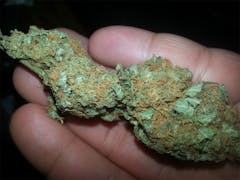 User uploaded image of Elvis