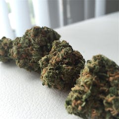 User uploaded image of Emerald Jack