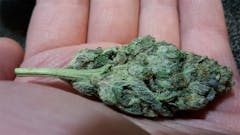 User uploaded image of Emerald OG