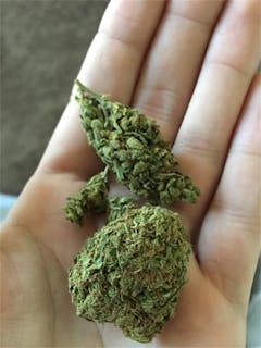 User uploaded image of Emerald OG
