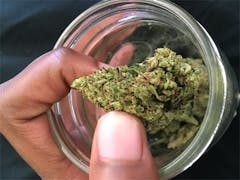 User uploaded image of Emerald OG
