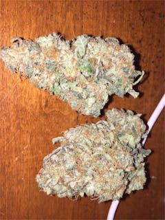 User uploaded image of Enigma