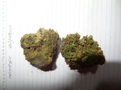 User uploaded image of Enigma