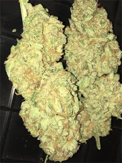 User uploaded image of Enigma