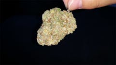 User uploaded image of Enigma