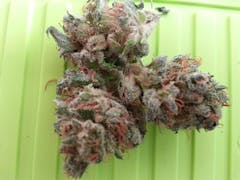 User uploaded image of Eran Almog