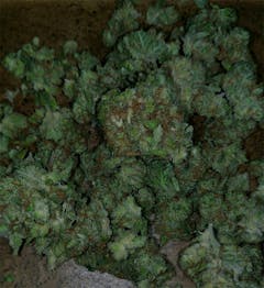 User uploaded image of Erez