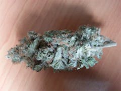 User uploaded image of Erez