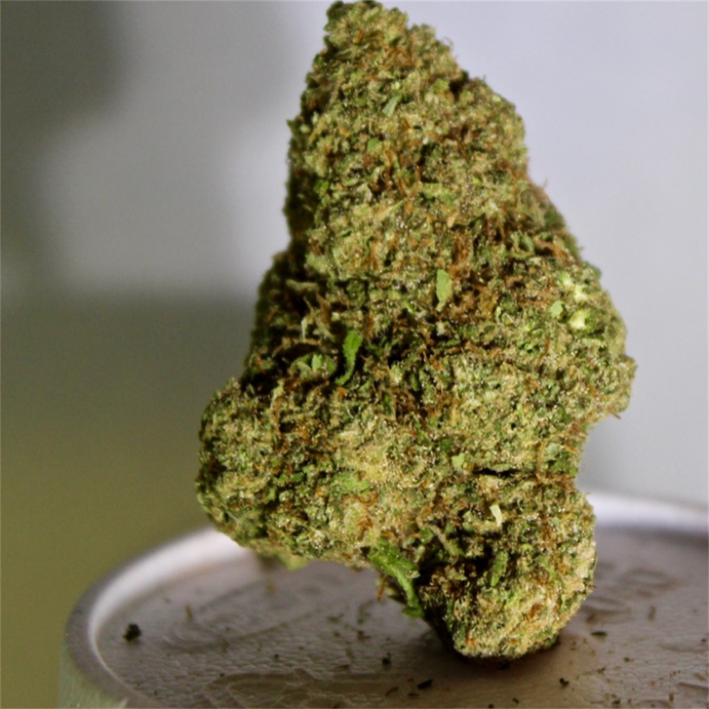 Euphoria Cannabis Strain