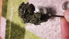 User uploaded image of Euphoria