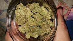 User uploaded image of Euphoria