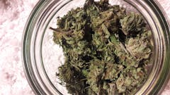 User uploaded image of Euphoria