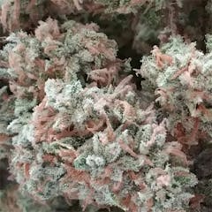 User uploaded image of Eugene Cream