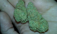 User uploaded image of Eugene Cream