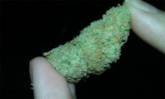 User uploaded image of Eugene Cream