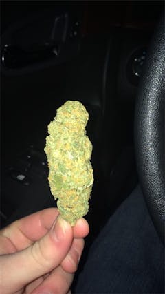 User uploaded image of Everlast