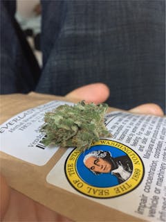 User uploaded image of Everlast