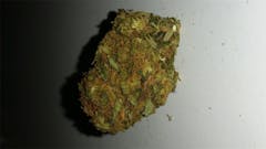 User uploaded image of Alien Walker