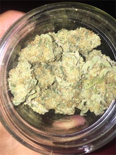 User uploaded image of Alien Walker