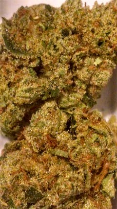 User uploaded image of Alien Walker