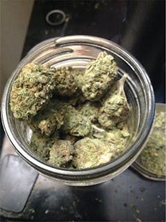 User uploaded image of Alien Walker