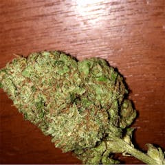 User uploaded image of Exodus Cheese