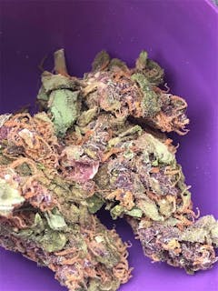 User uploaded image of Exodus Cheese