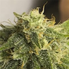 User uploaded image of F'n louZER