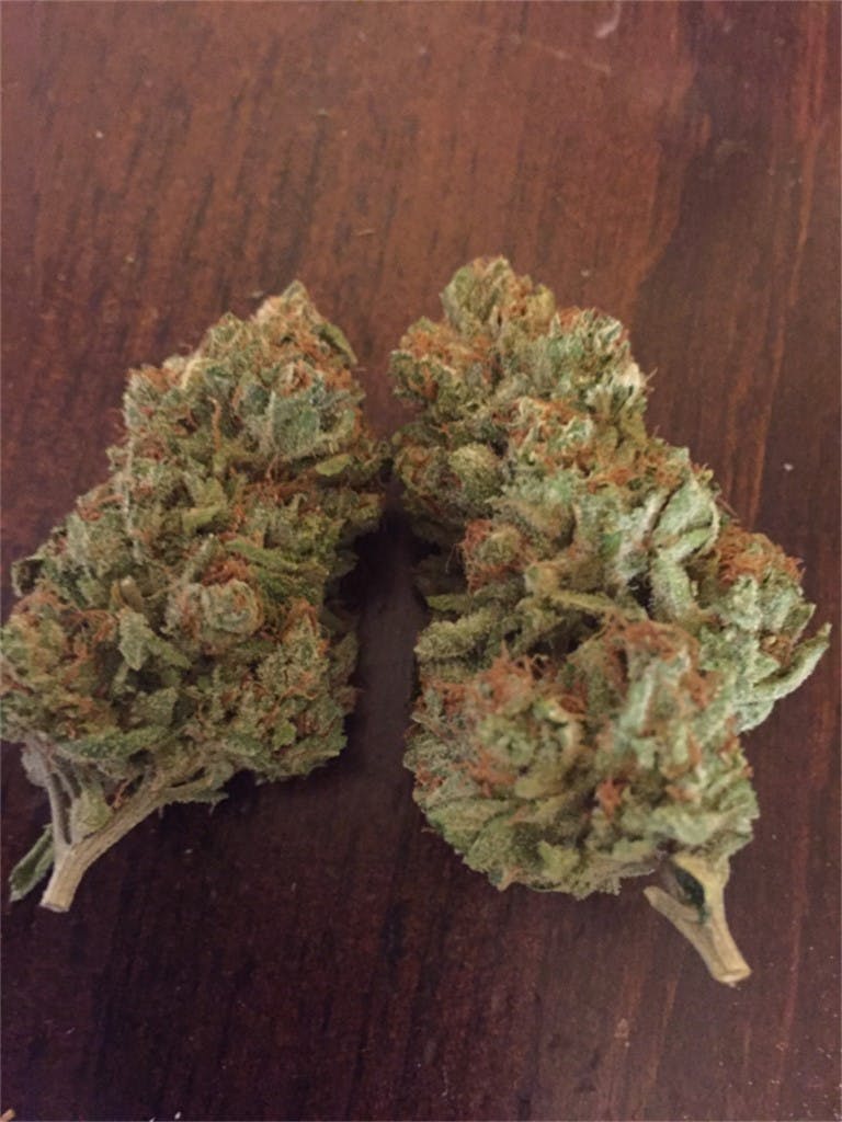 Face Off OG aka Faceoff OG Kush, Face Off, OG Face Off Weed Strain
