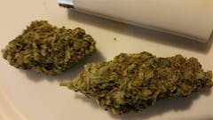 User uploaded image of Face Off OG