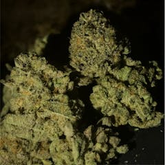 User uploaded image of False Teeth