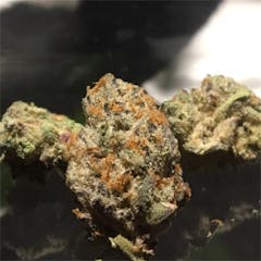 User uploaded image of False Teeth