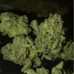 User uploaded image of False Teeth