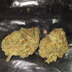 User uploaded image of False Teeth