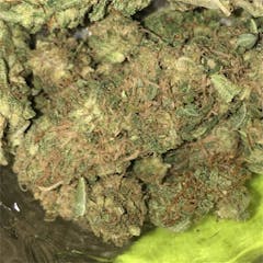User uploaded image of Fire Alien Kush