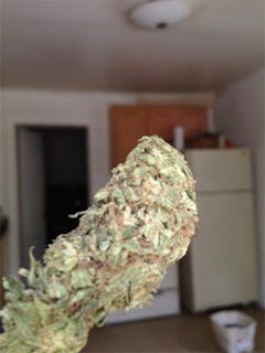 User uploaded image of Fire Haze