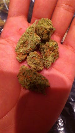 User uploaded image of Fire Haze