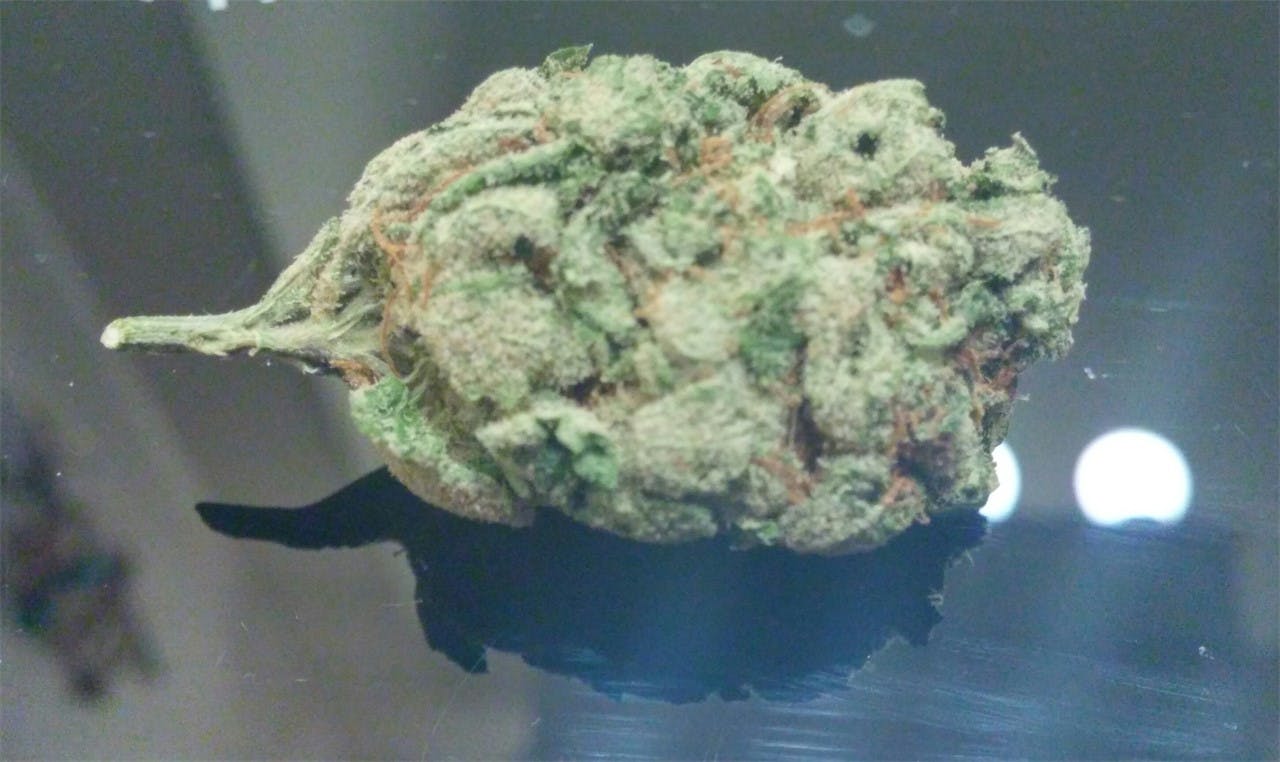 Fire Haze Weed Strain Information Leafly