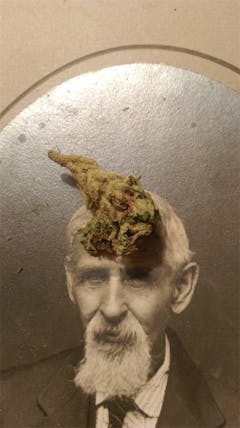 User uploaded image of Firewalker OG