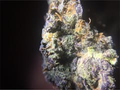 User uploaded image of Flaming Cookies