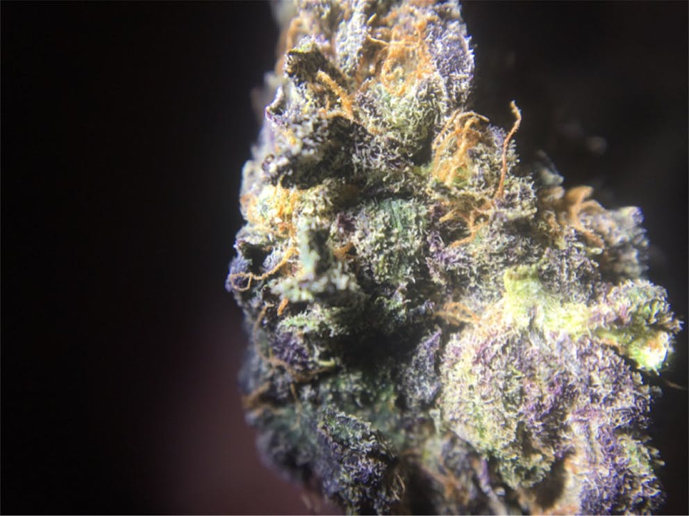 Photos of Flaming Cookies Weed Strain Buds | Leafly