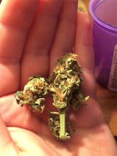 User uploaded image of Flaming Cookies