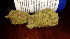 User uploaded image of Flo Limone