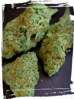 User uploaded image of Flo OG
