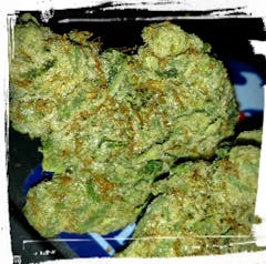 User uploaded image of Flo