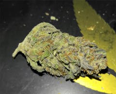 User uploaded image of Flo