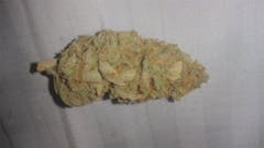 User uploaded image of Flo