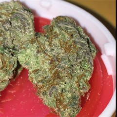 User uploaded image of Flo