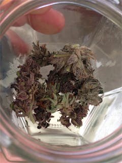User uploaded image of Flowerbomb Kush