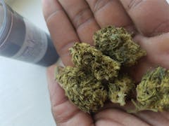 User uploaded image of Flowerbomb Kush
